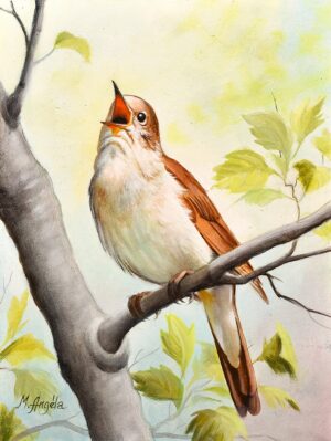 Micsik Angéla - Vándorfény Kortárs Galéria